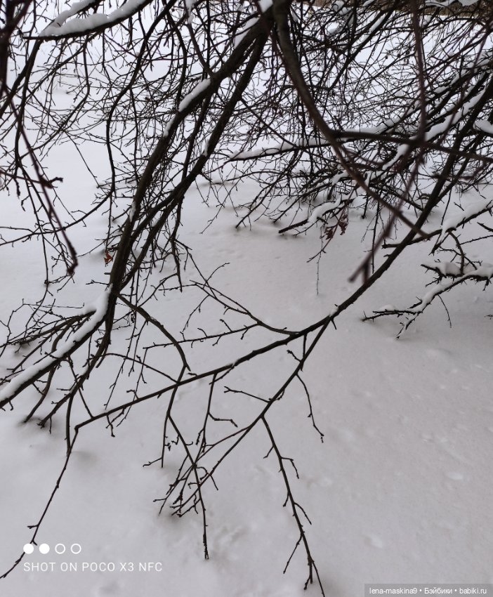 Вишенка, лес и ее любимый котик