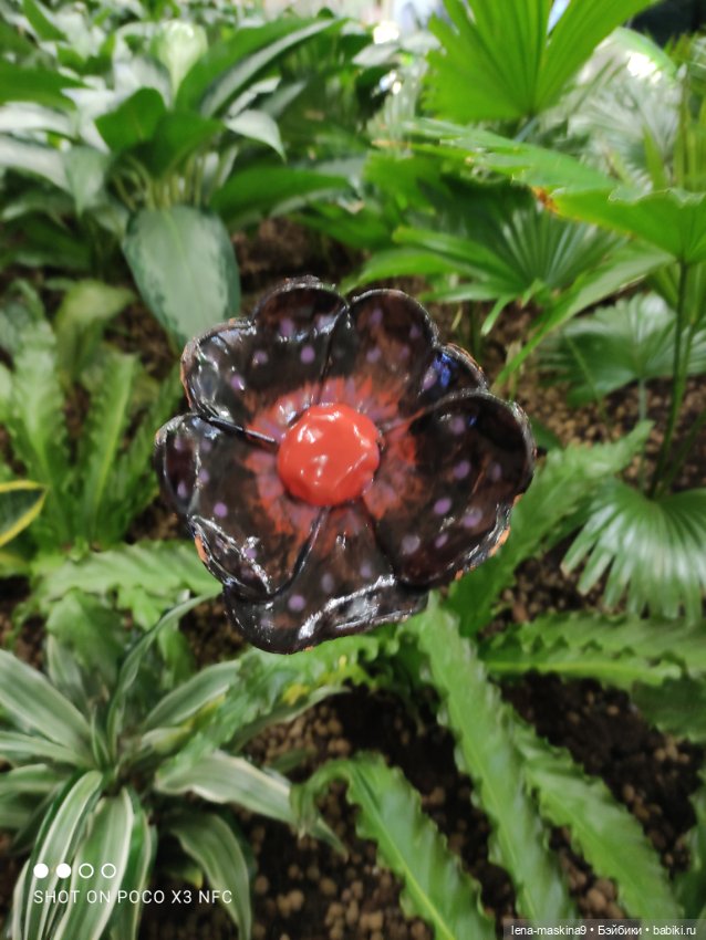 Зайка, Зефирка и ВДНХ продолжение (фото 4)