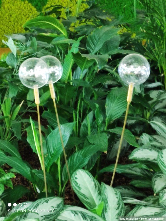 Зайка, Зефирка и ВДНХ продолжение