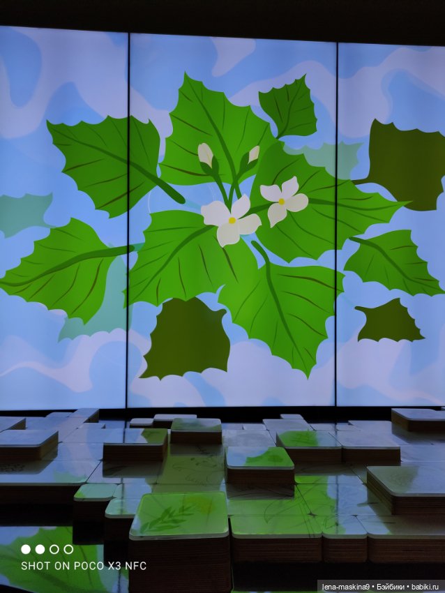 Зайка, Зефирка и ВДНХ продолжение