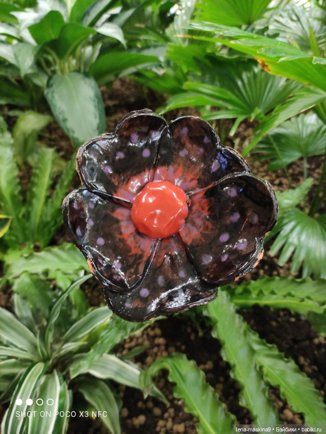 Зайка, Зефирка и ВДНХ продолжение (фото 3)