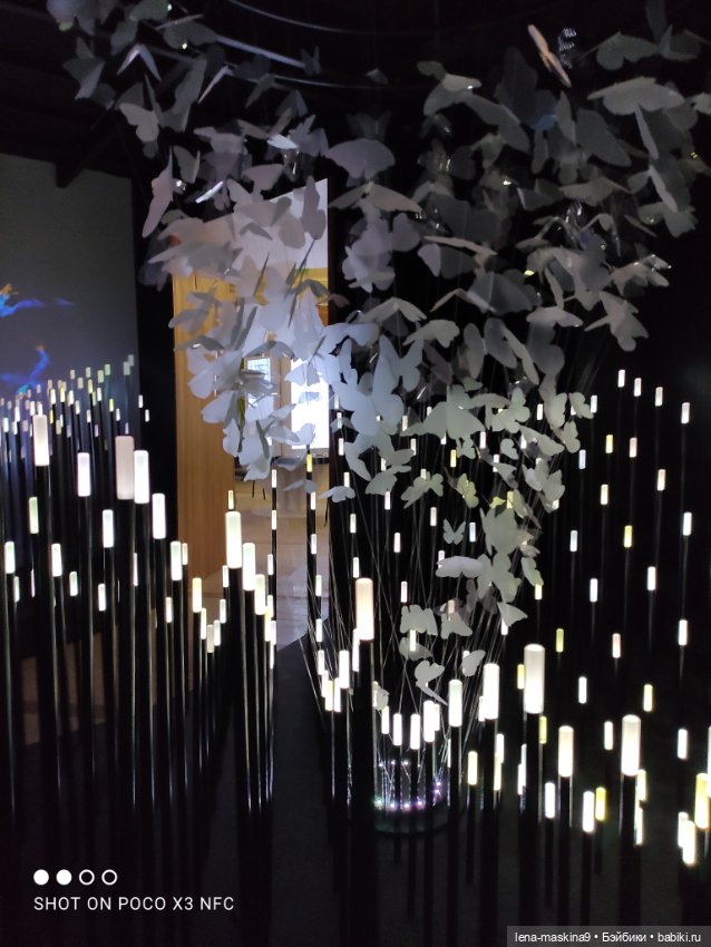 Зайка, Зефирка и ВДНХ продолжение (фото 10)