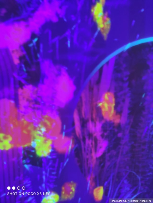 Зайка, Зефирка и ВДНХ продолжение