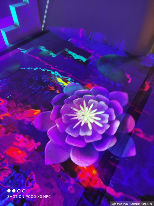 Зайка, Зефирка и ВДНХ продолжение