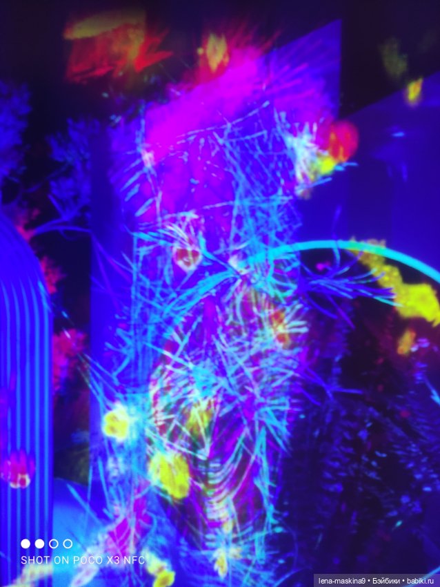 Зайка, Зефирка и ВДНХ продолжение