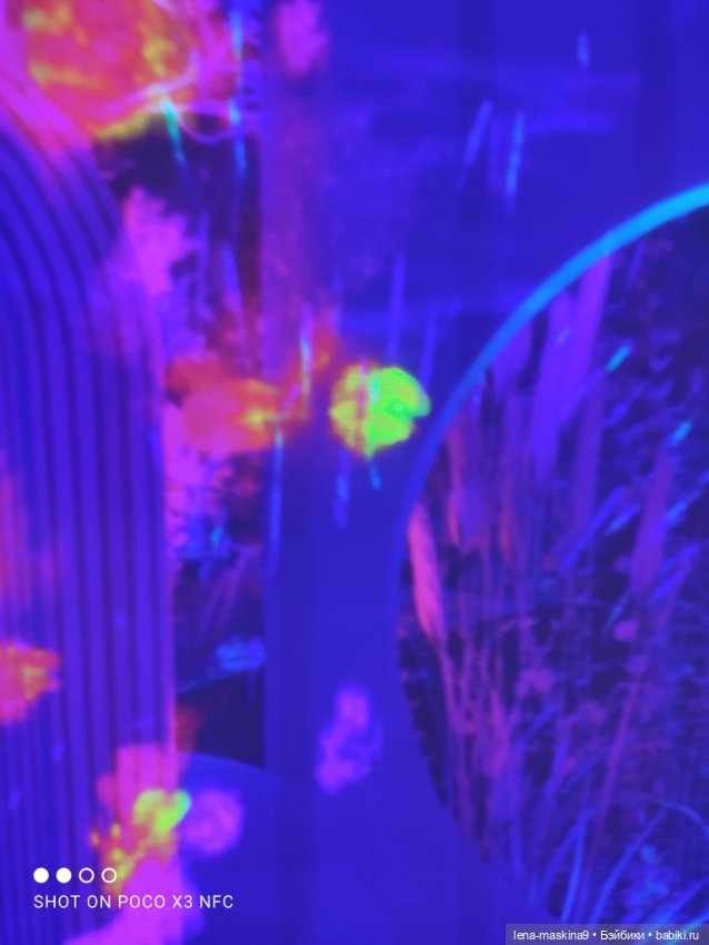 Зайка, Зефирка и ВДНХ продолжение