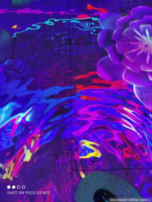 Зайка, Зефирка и ВДНХ продолжение