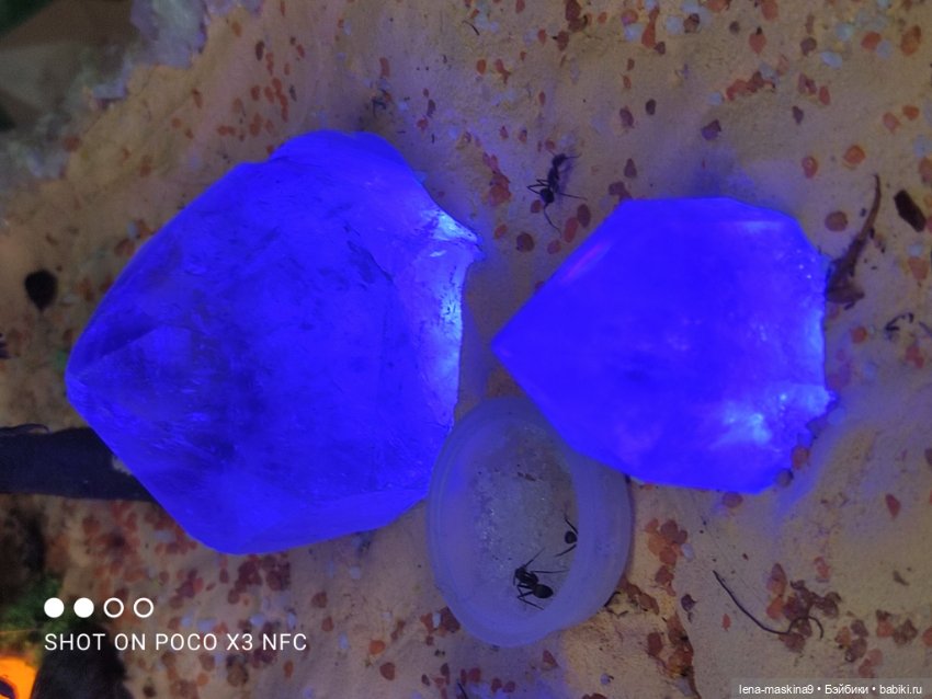 Зайка, Зефирка и ВДНХ продолжение