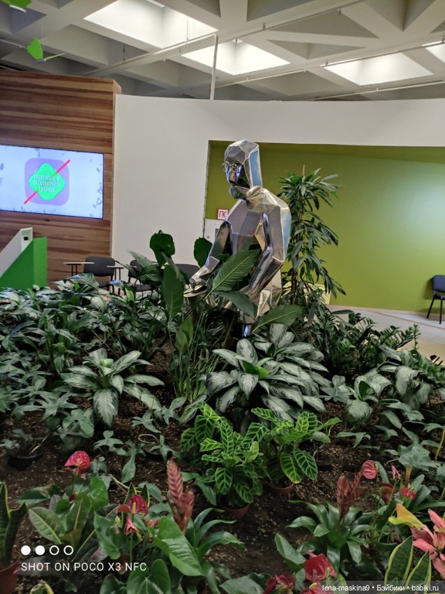 Зайка, Зефирка и ВДНХ продолжение (фото 8)