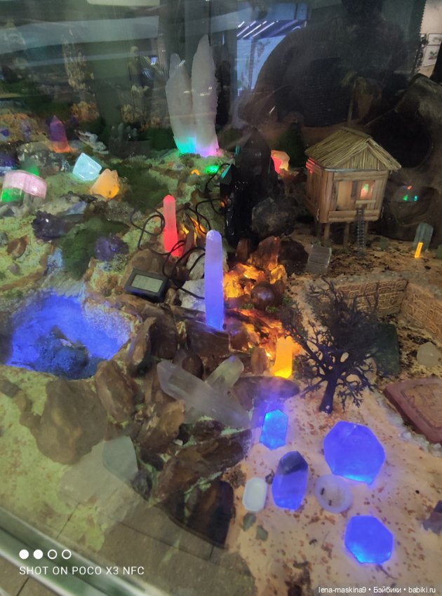 Зайка, Зефирка и ВДНХ продолжение