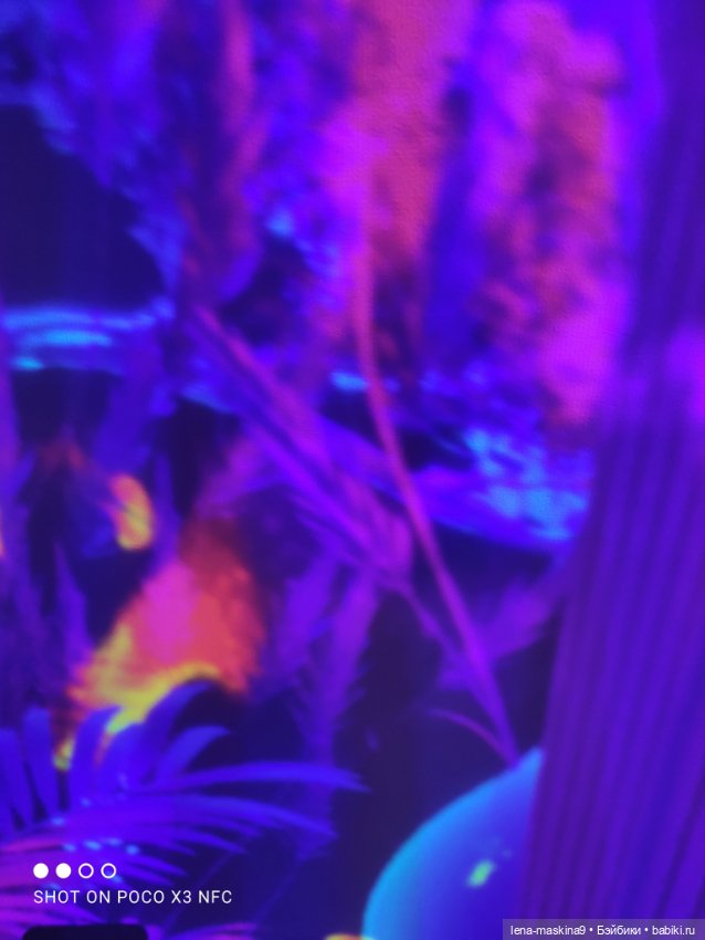 Зайка, Зефирка и ВДНХ продолжение