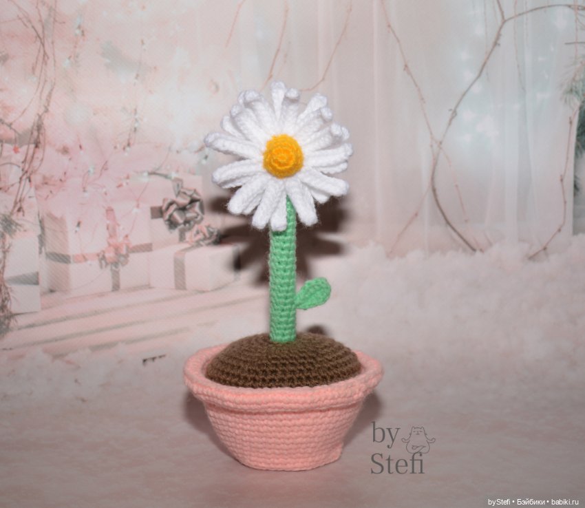 Ромашка — Другие хобби и увлечения: сад