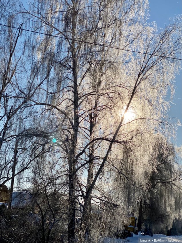 Мороз ❄️и солнце ☀️- день чудесный 🥰