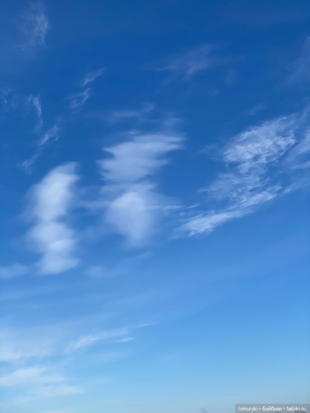 Мороз ❄️и солнце ☀️- день чудесный 🥰