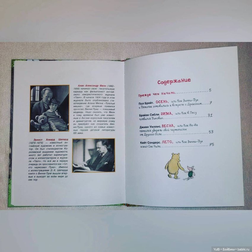 ...Лучший мишка в мире — Интересное и необычное: фотоподборки (фото 6)