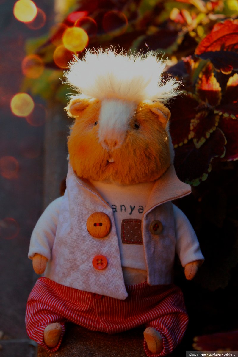 Один день из жизни маленького морского свиника (фото 3)