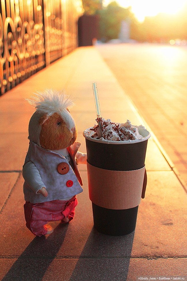 Один день из жизни маленького морского свиника (фото 4)