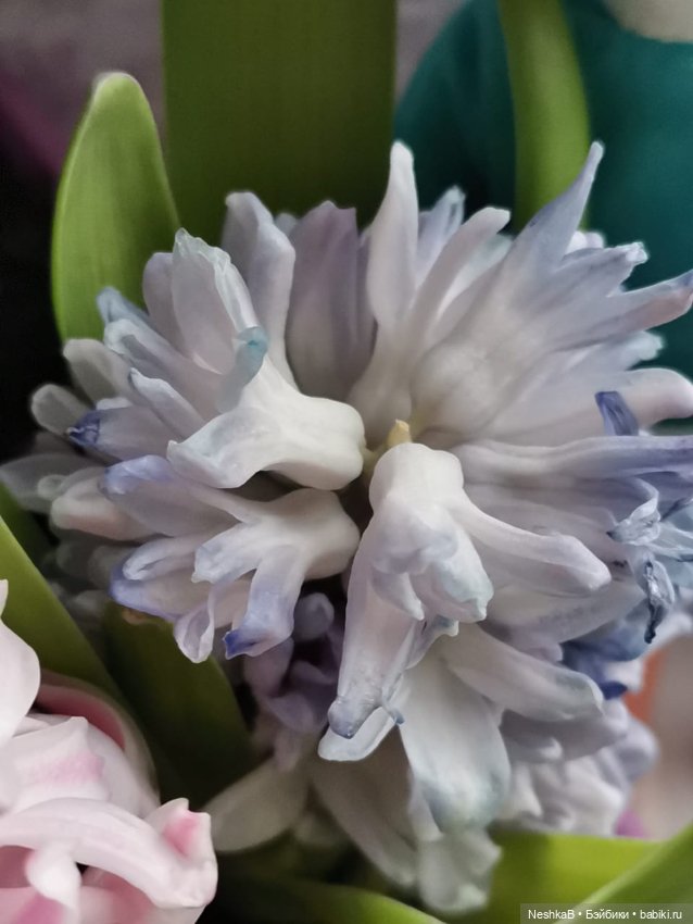 Пенни приближает весну 🌱🌷🌸 (фото 9)