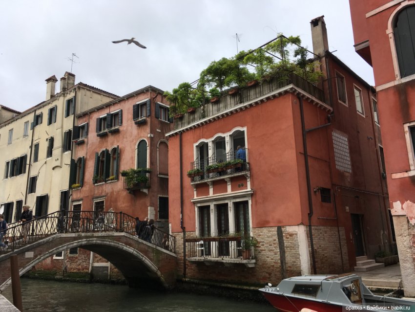 Воспоминания о Венеции — Туризм и путешествия: фотоотчеты из поездок
