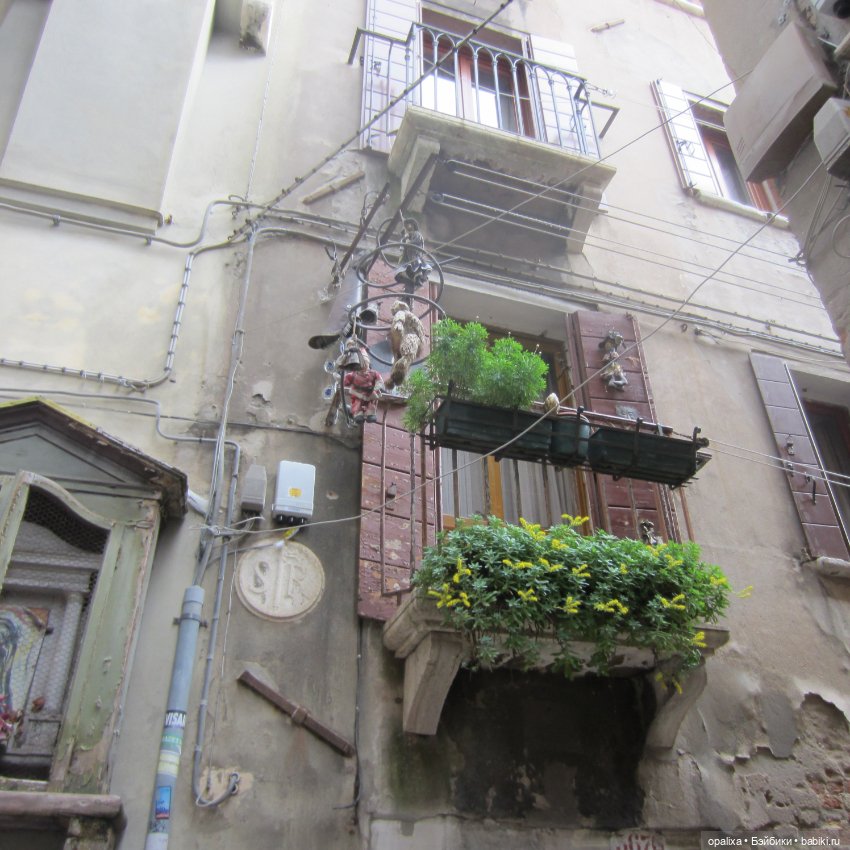 Воспоминания о Венеции — Туризм и путешествия: фотоотчеты из поездок (фото 5)