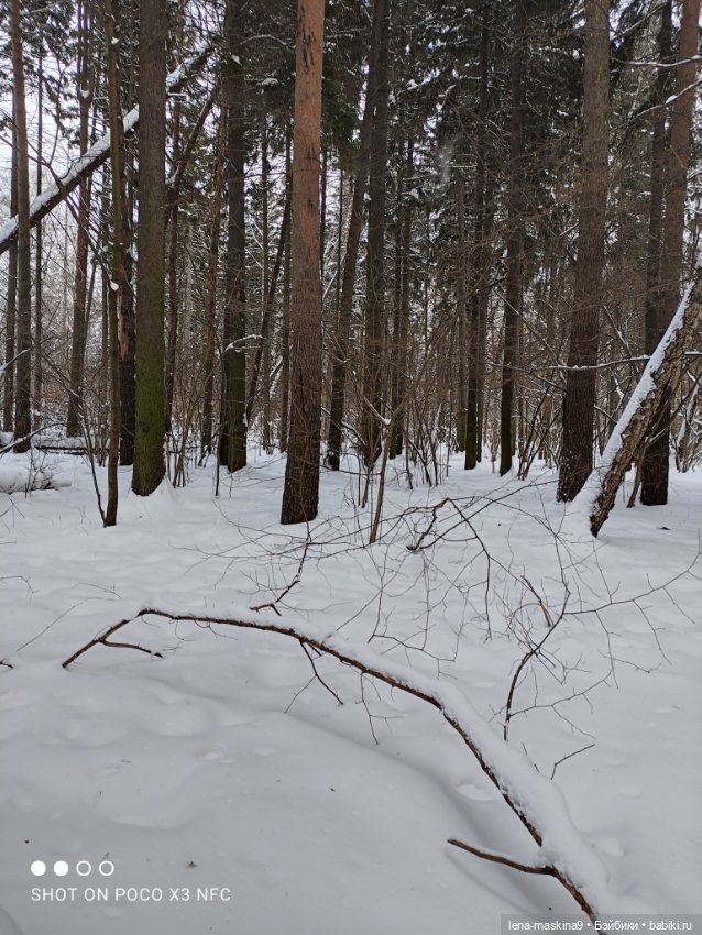 Лес, зима, игрушки моего детства