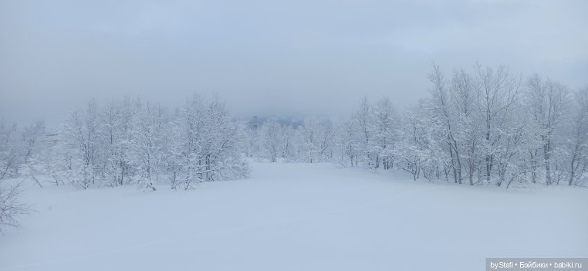 Заполярье. Прогуляемся? 29.01.2022 (фото 10)