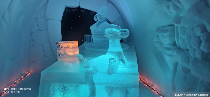 Заполярье. Прогуляемся? 29.01.2022