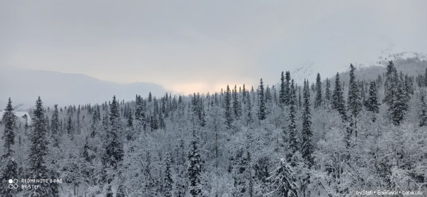 Заполярье. Прогуляемся? 29.01.2022