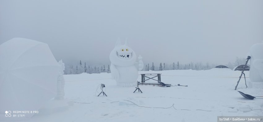 Заполярье. Прогуляемся? 29.01.2022