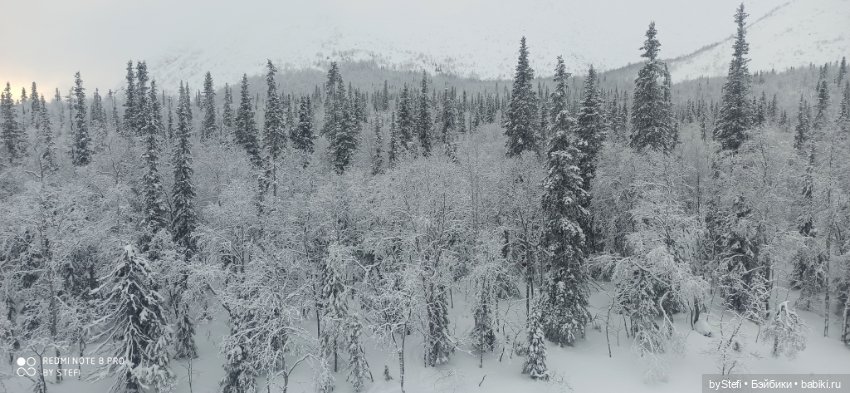 Заполярье. Прогуляемся? 29.01.2022