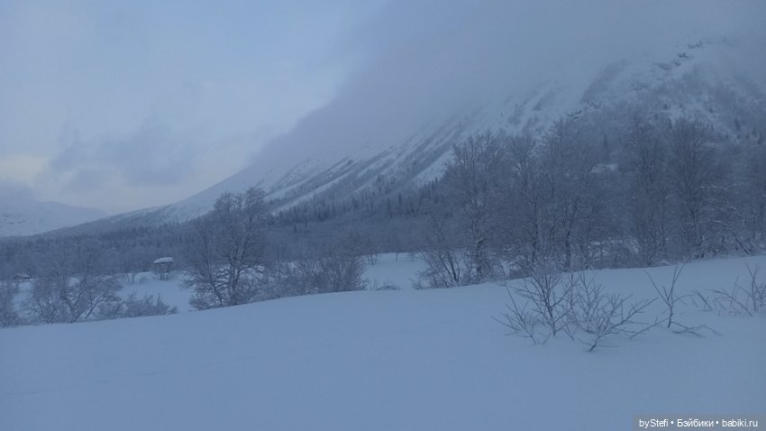 Заполярье. Прогуляемся? 29.01.2022 (фото 6)