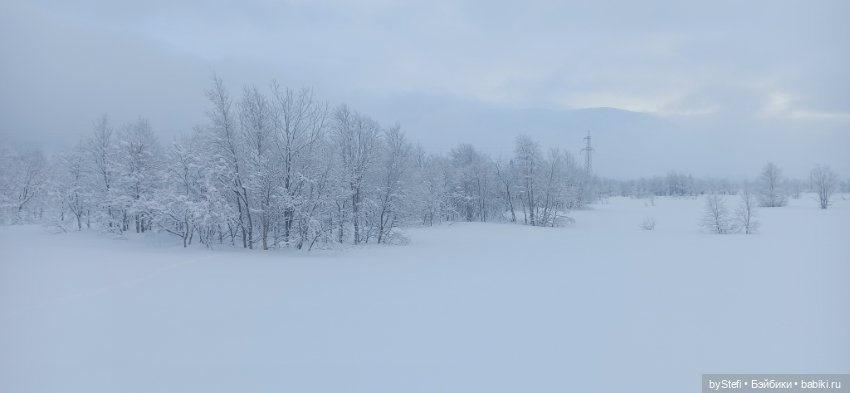 Заполярье. Прогуляемся? 29.01.2022