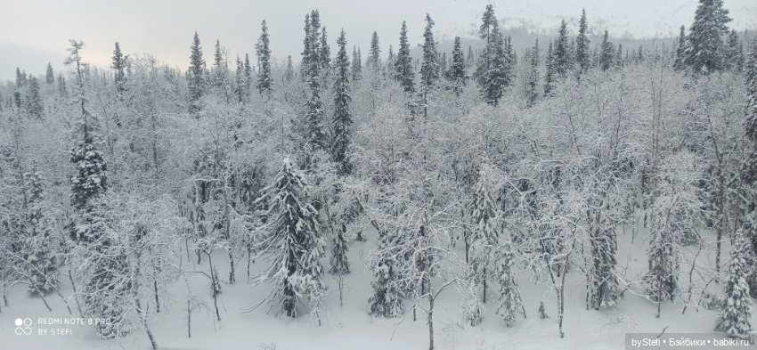 Заполярье. Прогуляемся? 29.01.2022