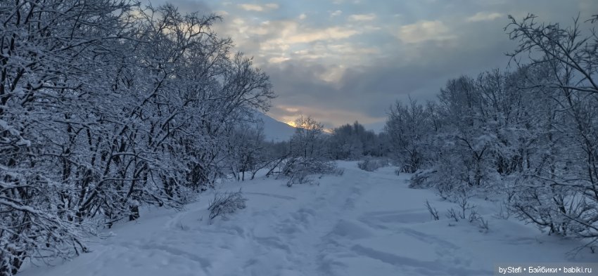 Заполярье. Прогуляемся? 29.01.2022