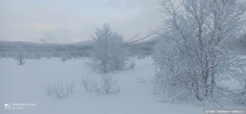 Заполярье. Прогуляемся? 29.01.2022