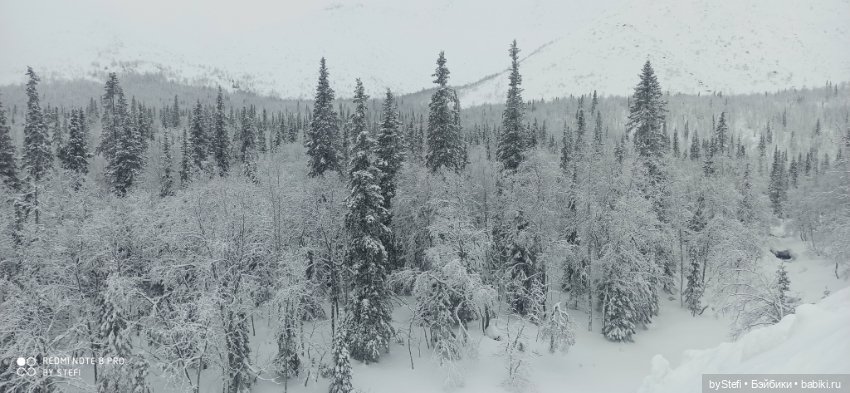 Заполярье. Прогуляемся? 29.01.2022