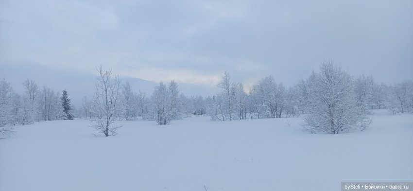 Заполярье. Прогуляемся? 29.01.2022 (фото 7)
