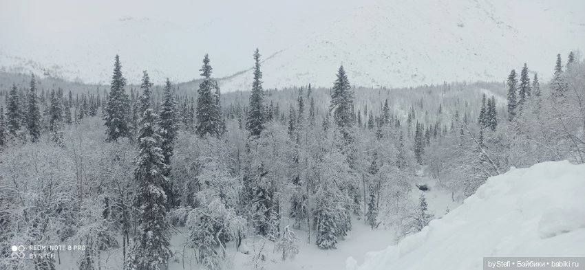 Заполярье. Прогуляемся? 29.01.2022