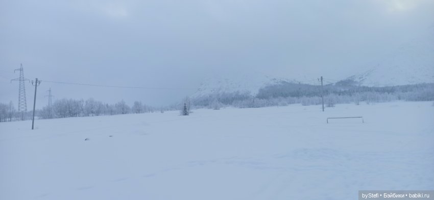 Заполярье. Прогуляемся? 29.01.2022 (фото 4)