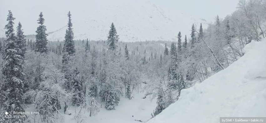 Заполярье. Прогуляемся? 29.01.2022