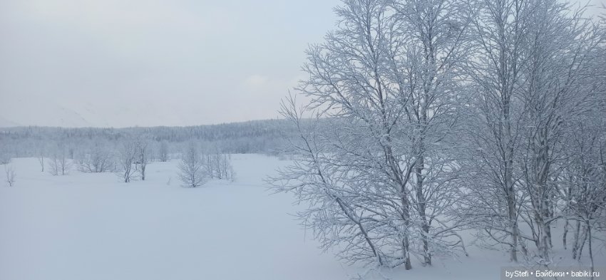 Заполярье. Прогуляемся? 29.01.2022