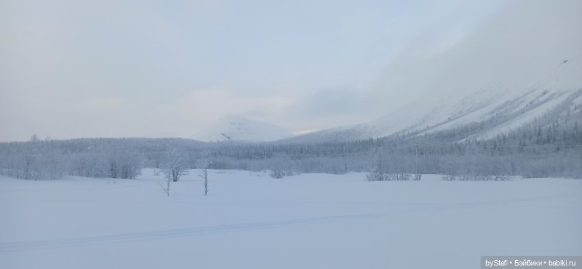 Заполярье. Прогуляемся? 29.01.2022 (фото 9)