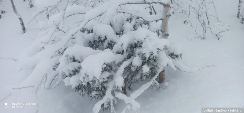 Заполярье. Прогуляемся? 29.01.2022