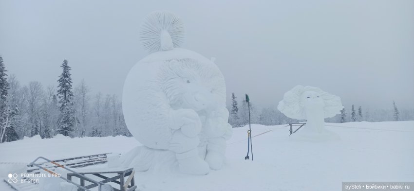Заполярье. Прогуляемся? 29.01.2022