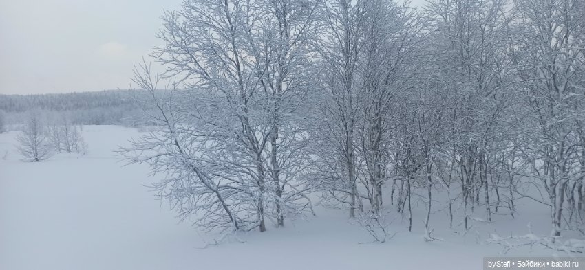 Заполярье. Прогуляемся? 29.01.2022