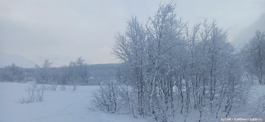 Заполярье. Прогуляемся? 29.01.2022 (фото 3)