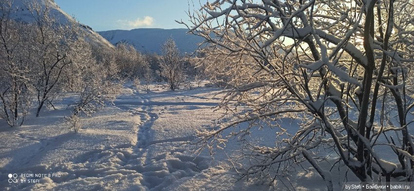 Возвращение солнышка в Заполярье. 30.01.2022. Приглашаю прогуляться