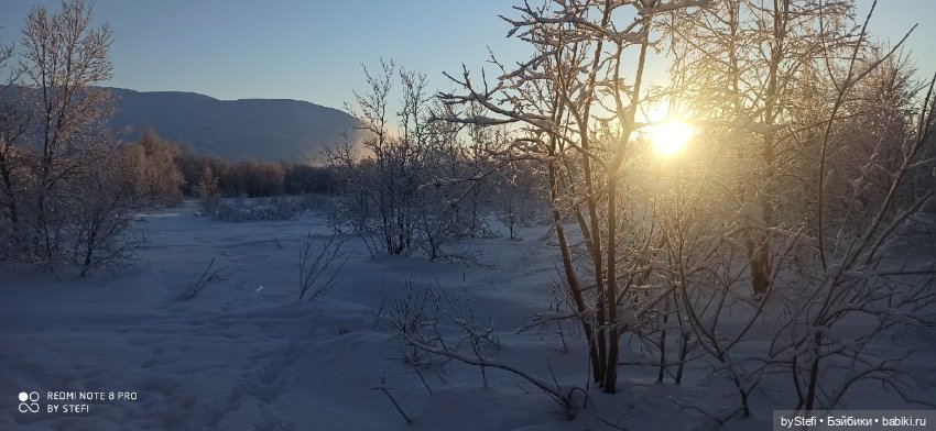 Возвращение солнышка в Заполярье. 30.01.2022. Приглашаю прогуляться (фото 6)