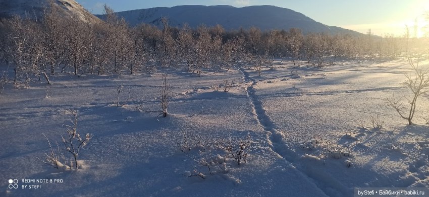 Возвращение солнышка в Заполярье. 30.01.2022. Приглашаю прогуляться