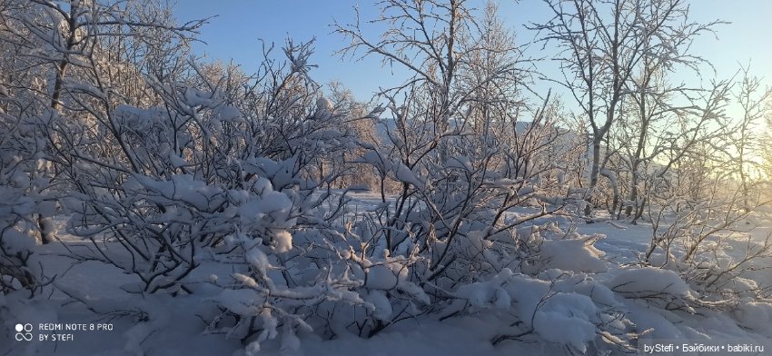 Возвращение солнышка в Заполярье. 30.01.2022. Приглашаю прогуляться (фото 9)